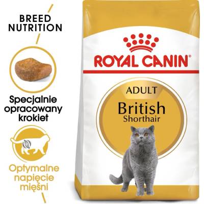 Royal Canin British Shorthair 10 кг суха храна за възрастни котки от породата британска късокосместа котка