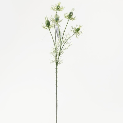 KONÁR NIGELLA BL.ZELENÁ 60CM