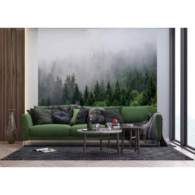 Ag Design FT4P-5701 Vliesová fototapeta na zed' Les v Ranní Mlze, rozměry 300 x 270 cm
