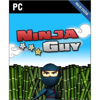 Ninja Guy