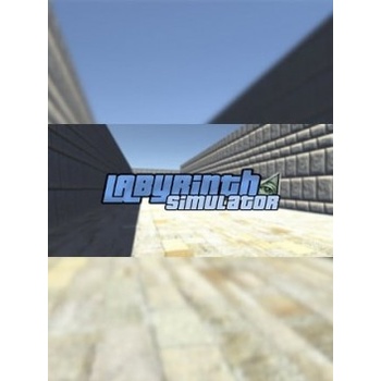 Labyrinth Simulator
