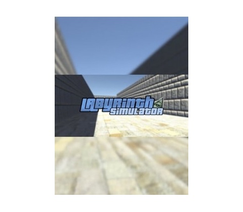 Labyrinth Simulator
