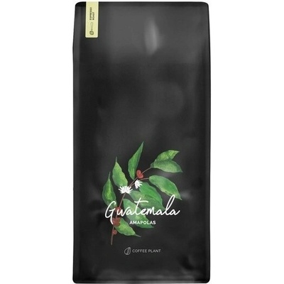 Coffee Plant Guatemala Maková semínka zrnková 1 kg