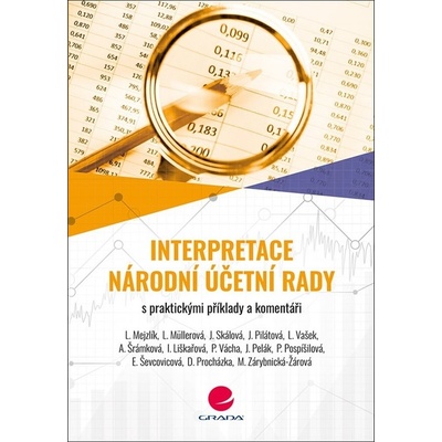 Účetní interpretace Národní účetní rady - Jana Skálová