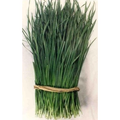 Семена от Чеснов Лук (Allium tuberosum) - 750 бр. (2.5 гр) (692550)