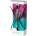 Intervion КОМПЛЕКТ INTERVION Четки За Грим 415406 Flexi Bl Комплект дамски
