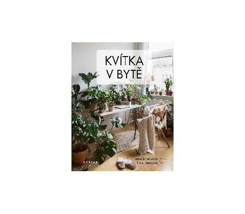 Kvítka v bytě
