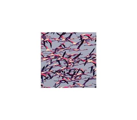 Deftones - Gore