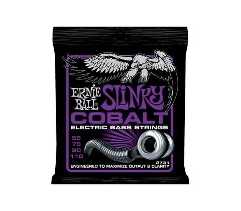 Ernie Ball 2731