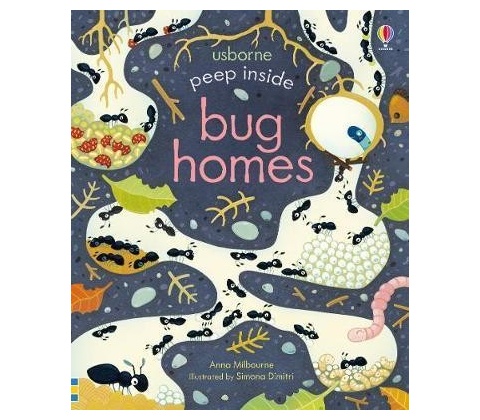 Peep Inside Bug Homes