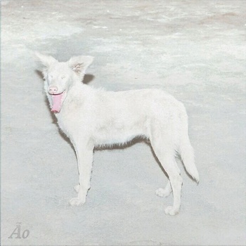 AO - Malandra (Digipak) (CD) (5430002558653)