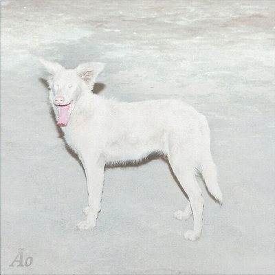 AO - Malandra (Digipak) (CD) (5430002558653)