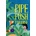Pipe Push Paradise