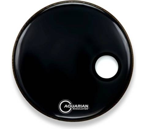 Aquarian RSM22BK