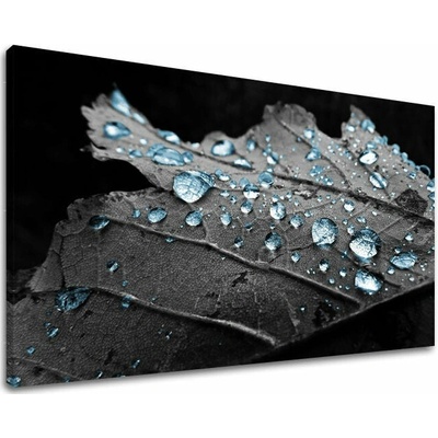 Obraz na stenu RASTLINY - 60x90 cm