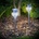 Garden of Eden 11254