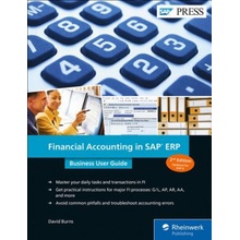 Financial Accounting in SAP ERP: Business User Guide