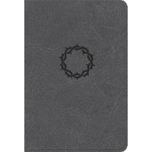 NASB Large Print Compact Reference Bible, Charcoal Leathertouch (ISBN: 9798384509448)