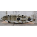 Conger 295