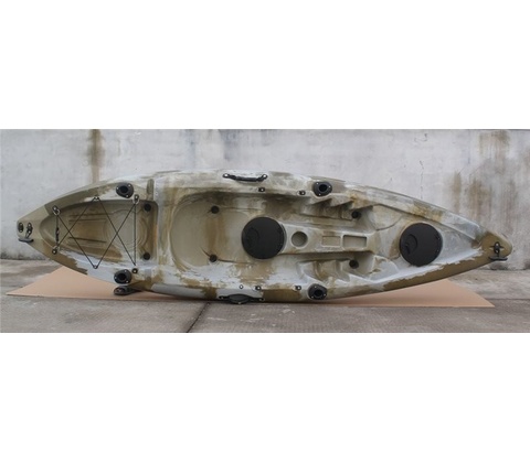 Conger 295