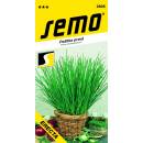 Semo Pažítka - erecta, vzpriamená 2g
