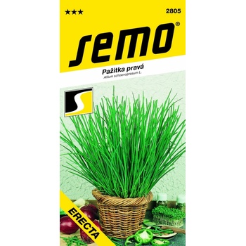 Semo Pažítka - erecta, vzpriamená 2g