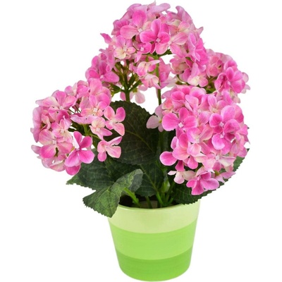 Hortenzie růžová 5 květů v keramickém květináči 33x27 cm