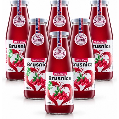 Zagro Detox Max kúra Brusnica šťava 6 x 700 ml