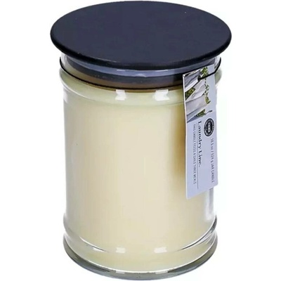 Bridgewater Candle Company Laundry Line 524 g