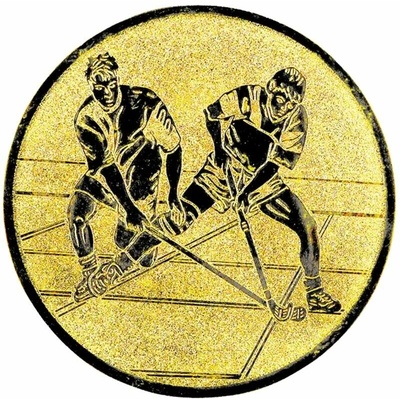Floorbal: Hliníkový emblém na trofej Ø 50 mm zlatá