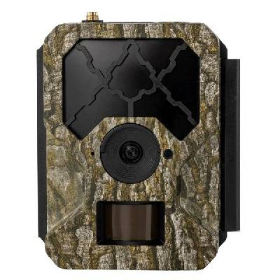 OXE Hornet 4G