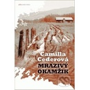 Mrazivý okamžik