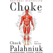 Choke Palahniuk Chuck Paperback