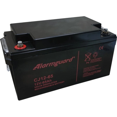 Alarmguard 12V 65Ah 780A