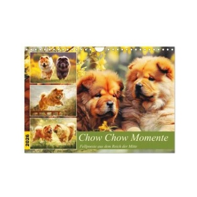 Chow Chow Momente. Fellpoesie aus dem Reich der Mitte Wand DIN A4 quer CALVENDO Monats 2026