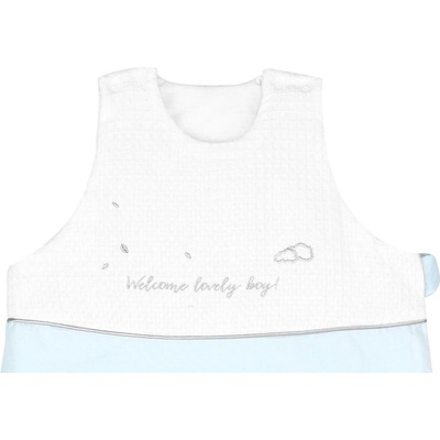 KikkaBoo Зимен спален чувал с бродерия 0-6 месеца Dream Big Blue (41130000061)