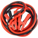 AMiO 1000A - 6m