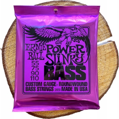 Ernie Ball 2831