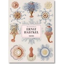 Haeckel
