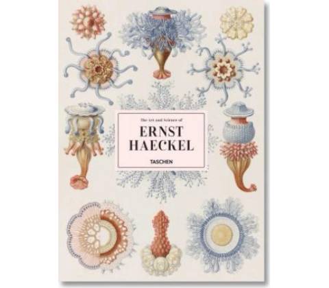 Haeckel