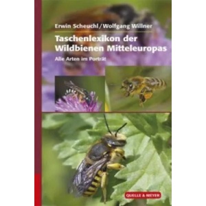Taschenlexikon der Wildbienen Mitteleuropas | Erwin Scheuchl, Wolfgang Willner (ISBN: 9783494016535)