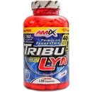 Amix TribuLyn 40 % 220 kapsúl