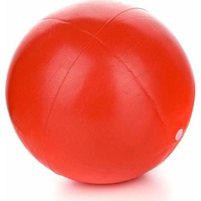SPORTWELL Mini ball 20 cm