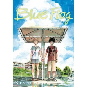 Blue Flag, Vol. 3 (ISBN: 9781974713035)