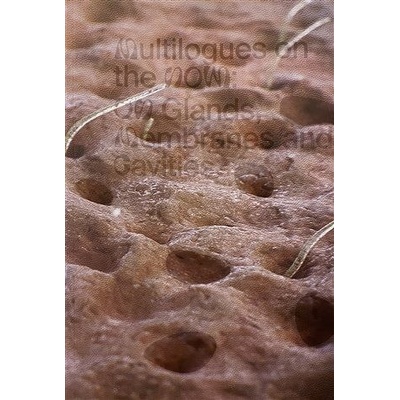 Multilogues on the Now: On Glands, Membranes and Cavities - Jakalová Zuzana, Janečková Hana