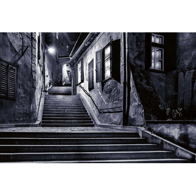 DIMEX ART Флизелинов фототапет пасажът на златарите 375 x 250 см