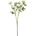 Bizzotto Клонка Eryngium Hazely бяла H68 cm (0173198)