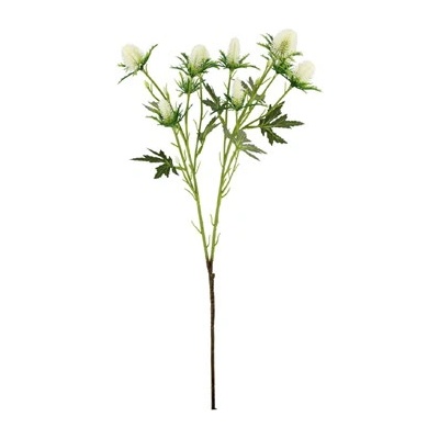 Bizzotto Клонка Eryngium Hazely бяла H68 cm (0173198)