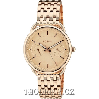 Fossil ES3713