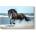 TopMebel " Black Horse" TopMebel картина на платно дигитален печат 100x70x3cm